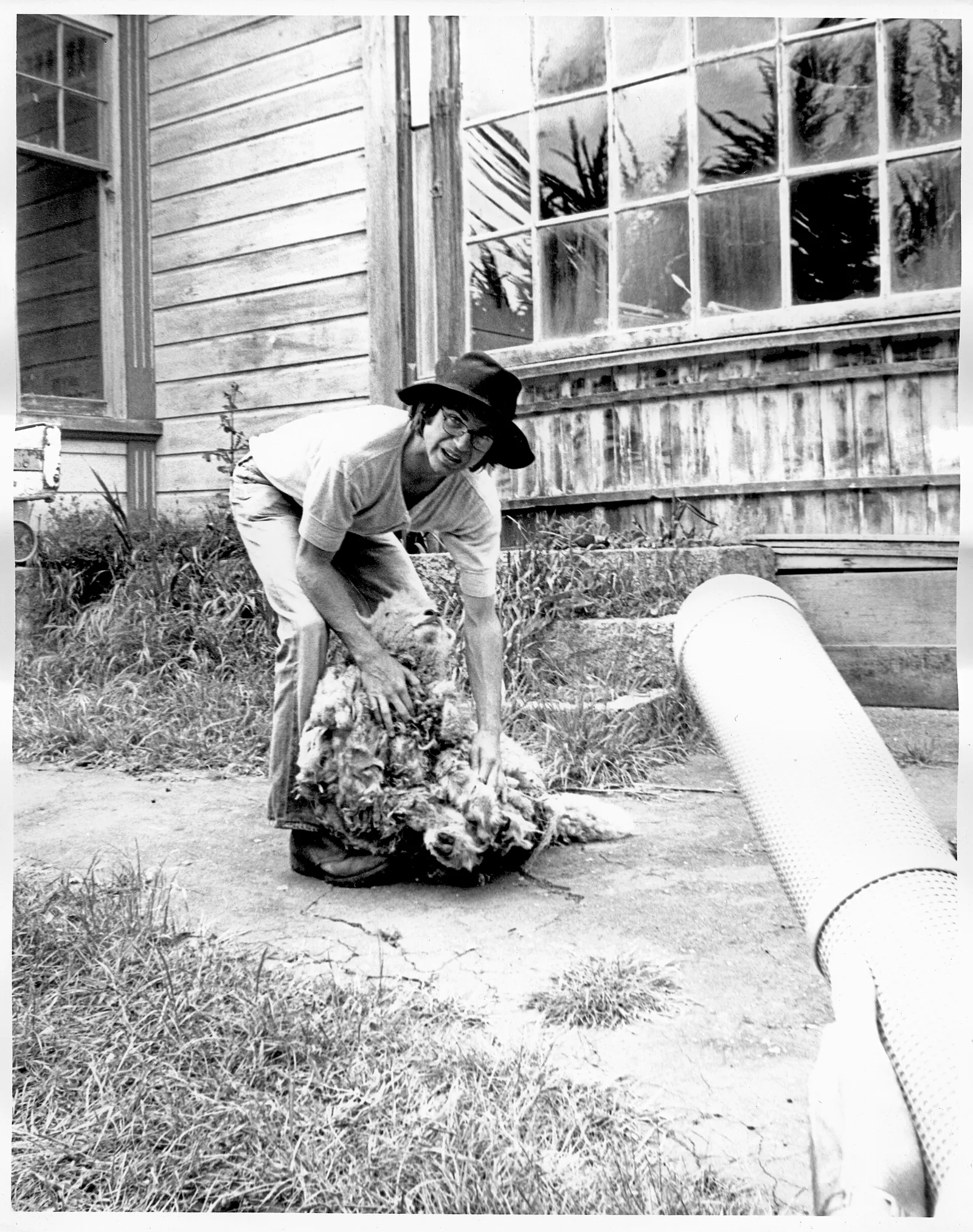 Sam Neill in his early career in New Zealand (file image, 1974)