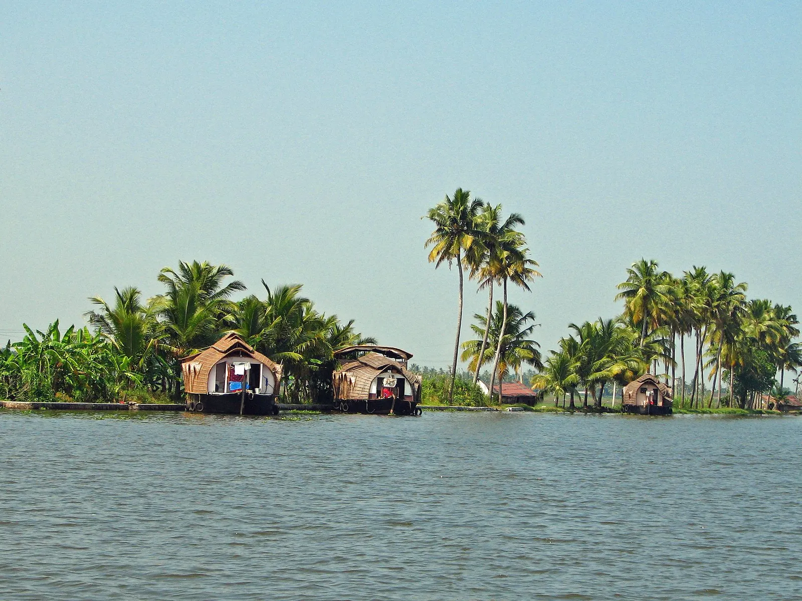 Backwaters in Kerala, India