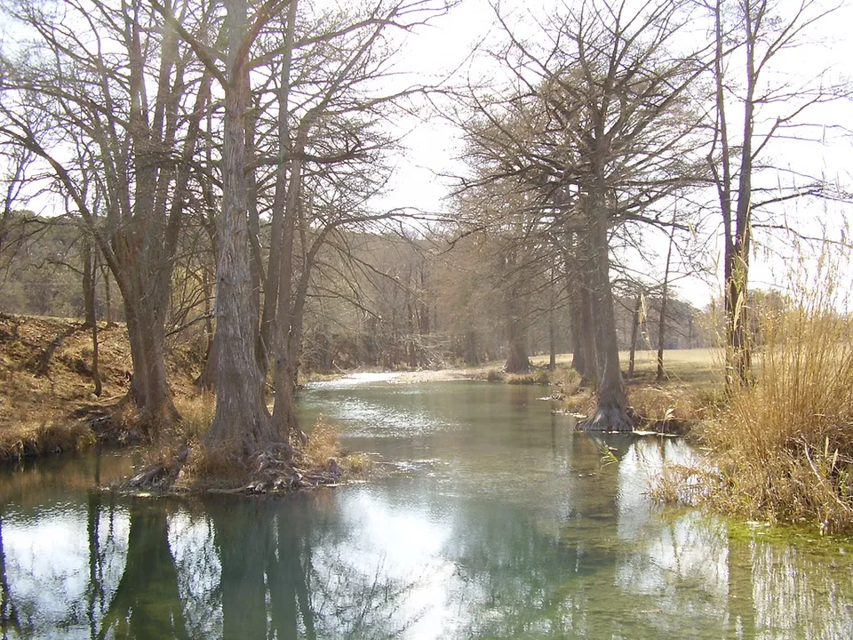 The Guadalupe River in the Texas Hill Country (file image)