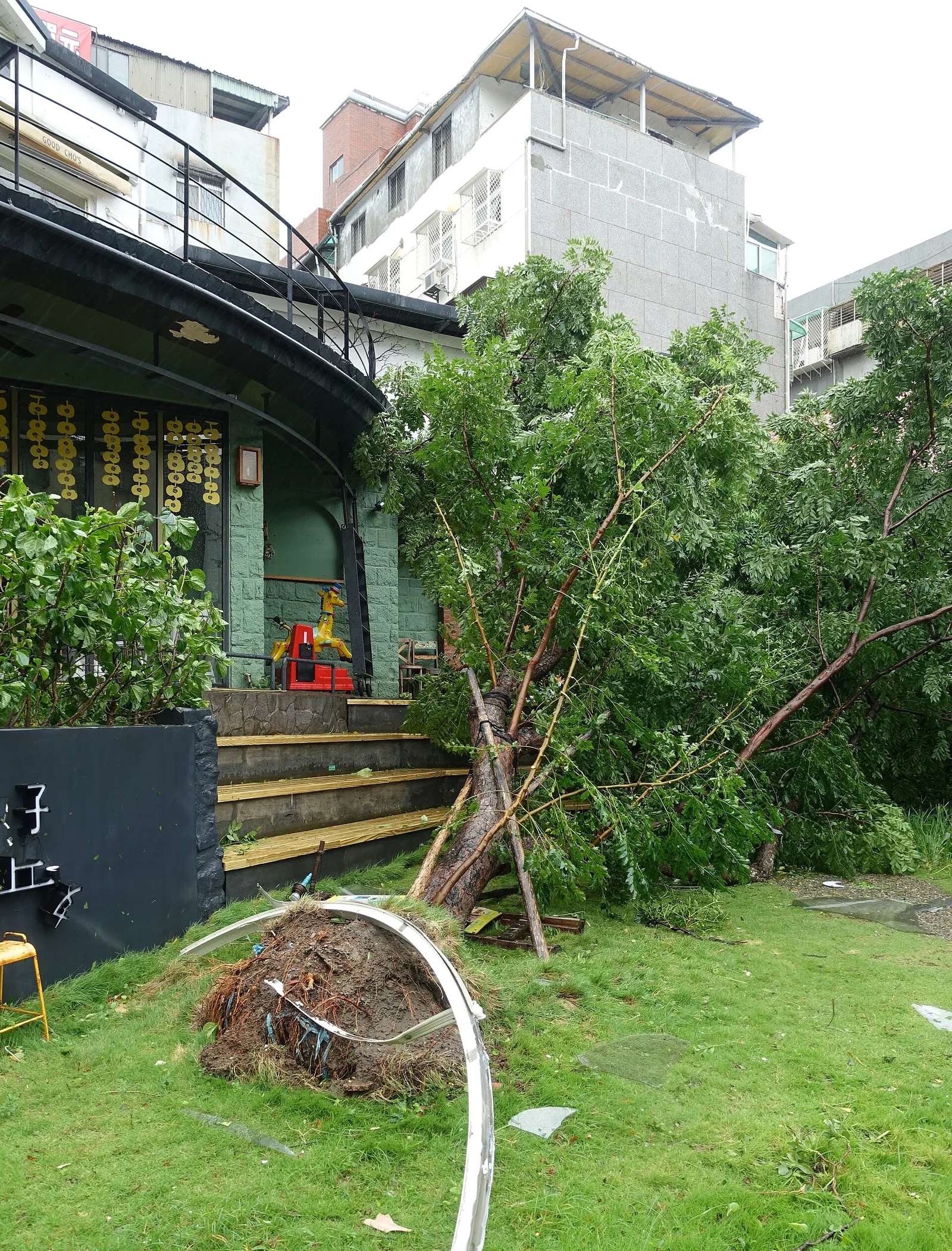 Trees felled by a powerful typhoon (file image)