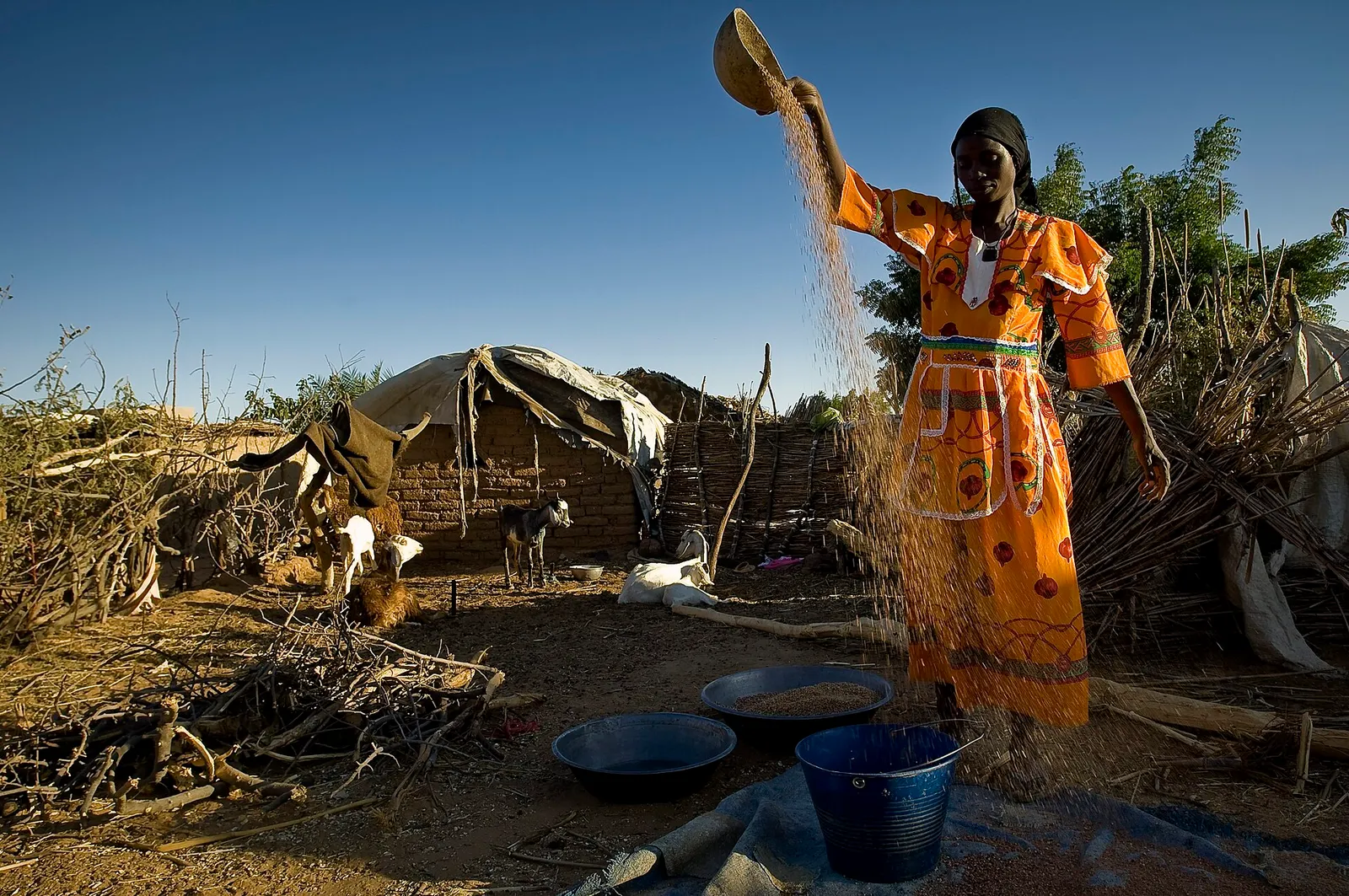 Sudanese refugees who fled the conflict (file image)