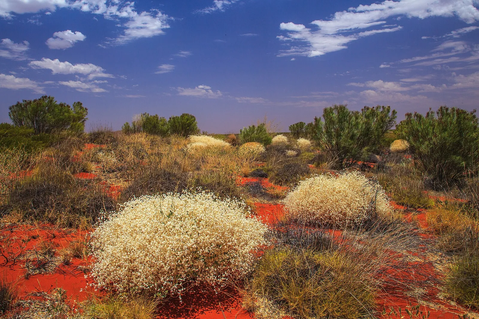 The red-earth Australian outback, the setting of the Mad Max films (file photograph)