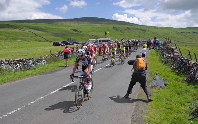 The peloton during a stage of the Tour de France