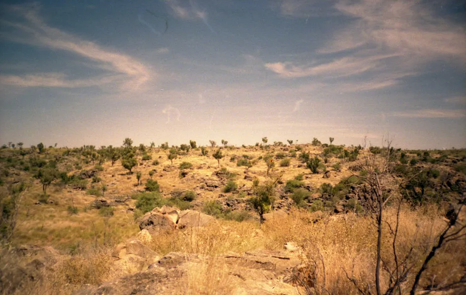 The Riversleigh World Heritage Area in northwestern Queensland, Australia, where the fossils were recovered