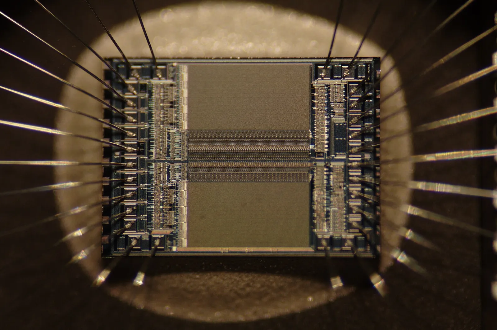 A close-up of a microchip (file image)