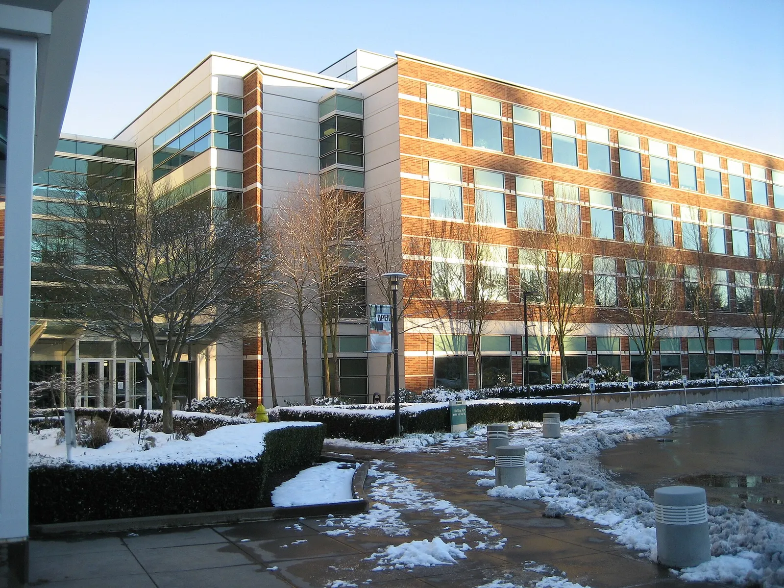 Microsoft's campus in Redmond, Washington (file image)
