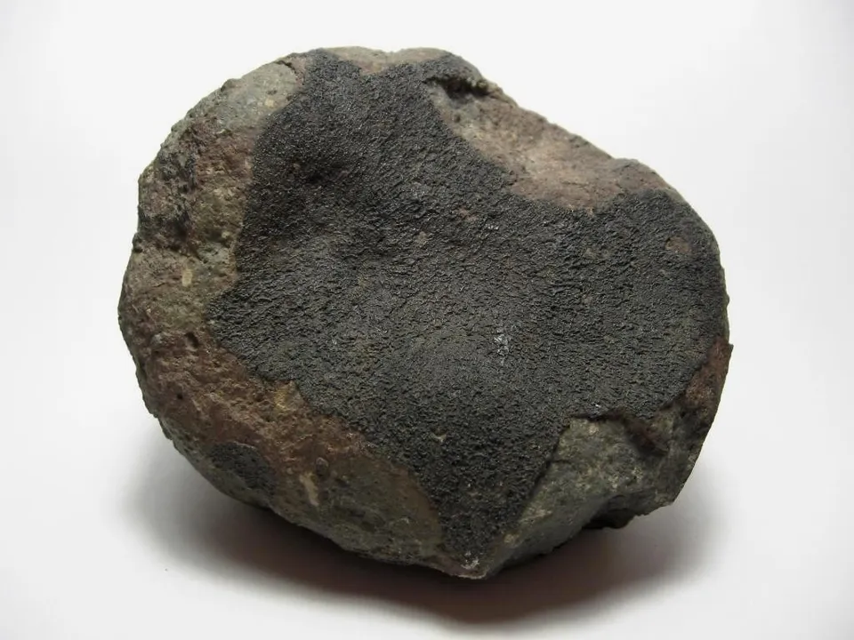 A carbonaceous chondrite meteorite (the Allende meteorite; file image)