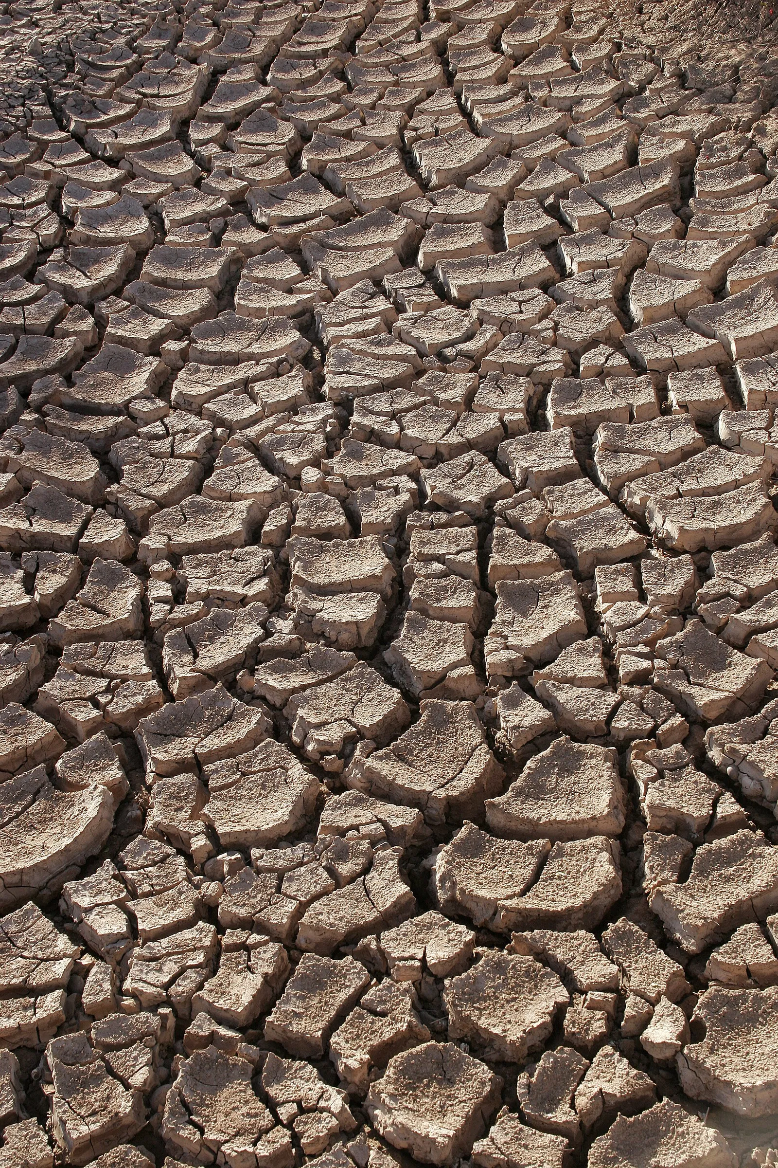 Dry, cracked earth during a drought