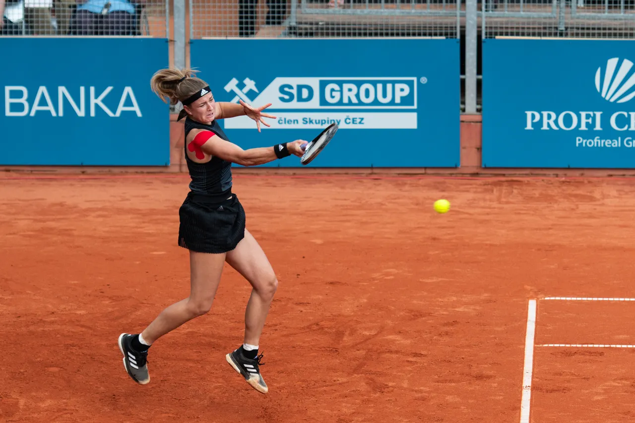 Karolina Muchova (file image)