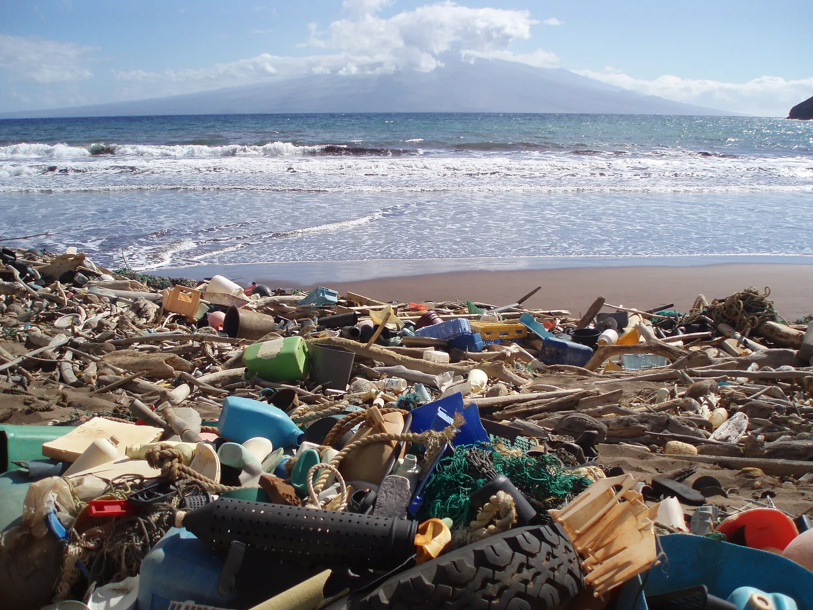 Marine debris washed up on a Hawaiian shore