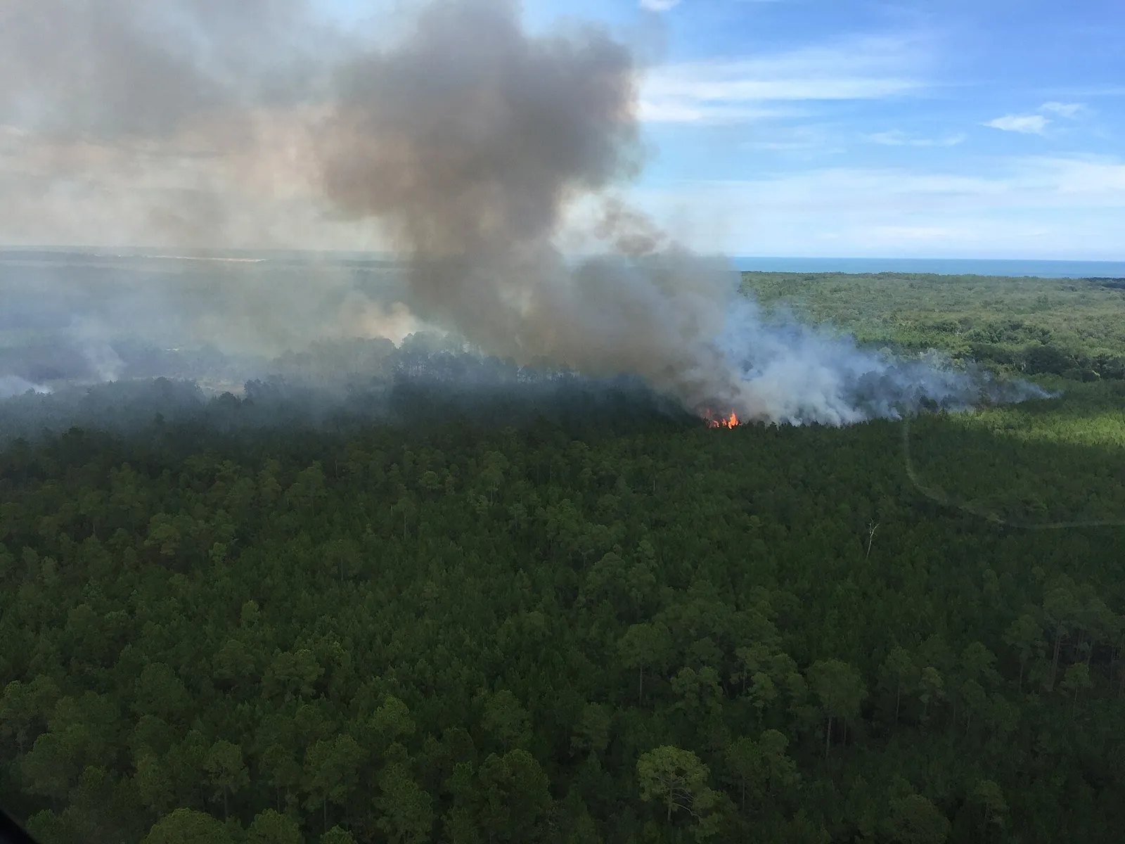 Smoke rising from a wildfire, seen from the air
