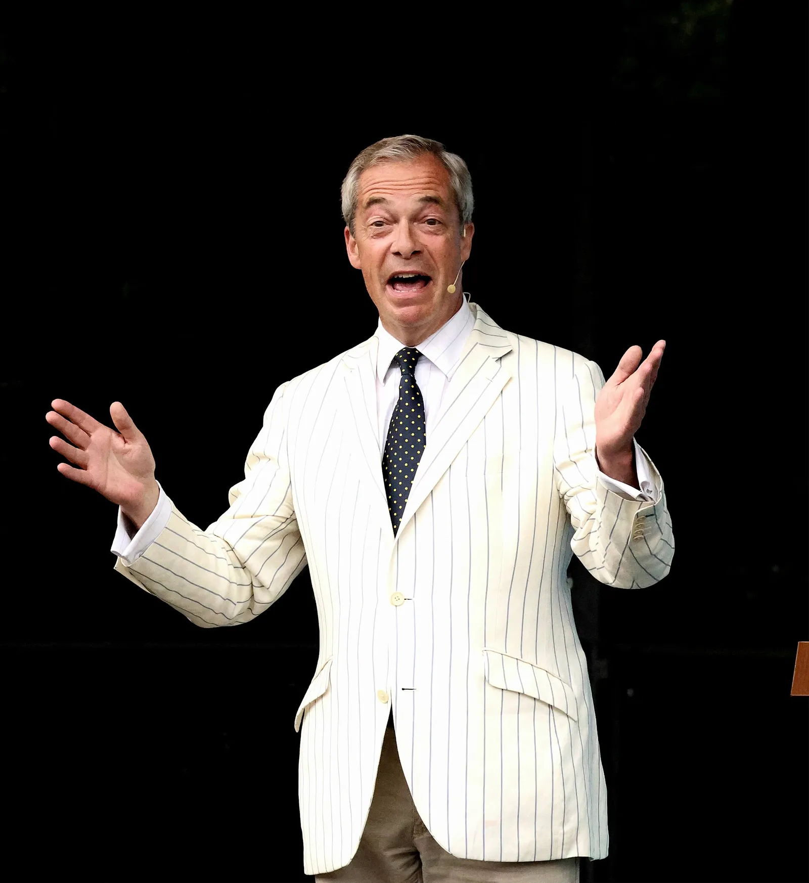 Nigel Farage, leader of Reform UK, speaking at an event in 2024