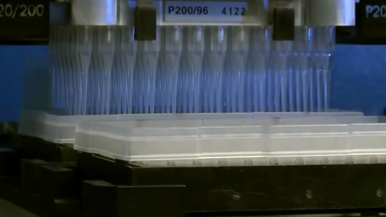 Automated liquid-handling equipment in a molecular biology laboratory