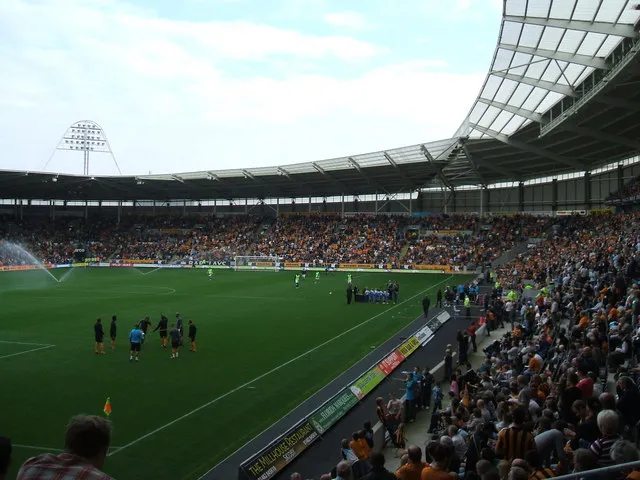 A football stadium on match day (file image)