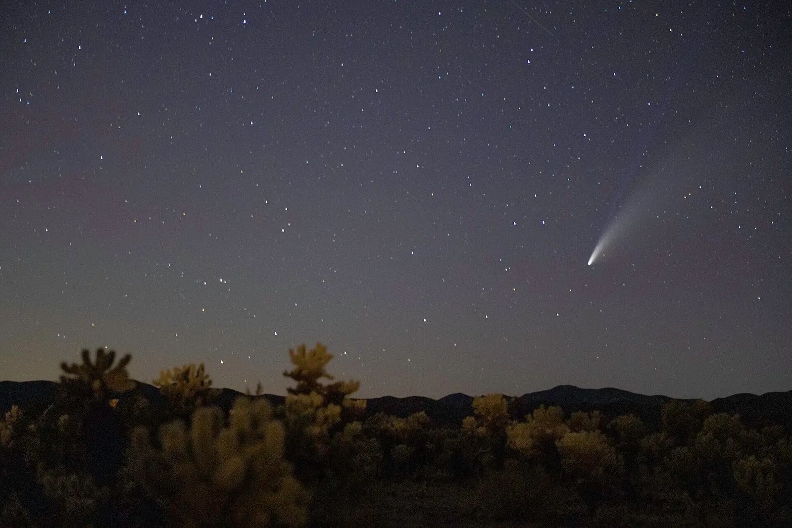 Comet NEOWISE and its tail over a desert landscape
