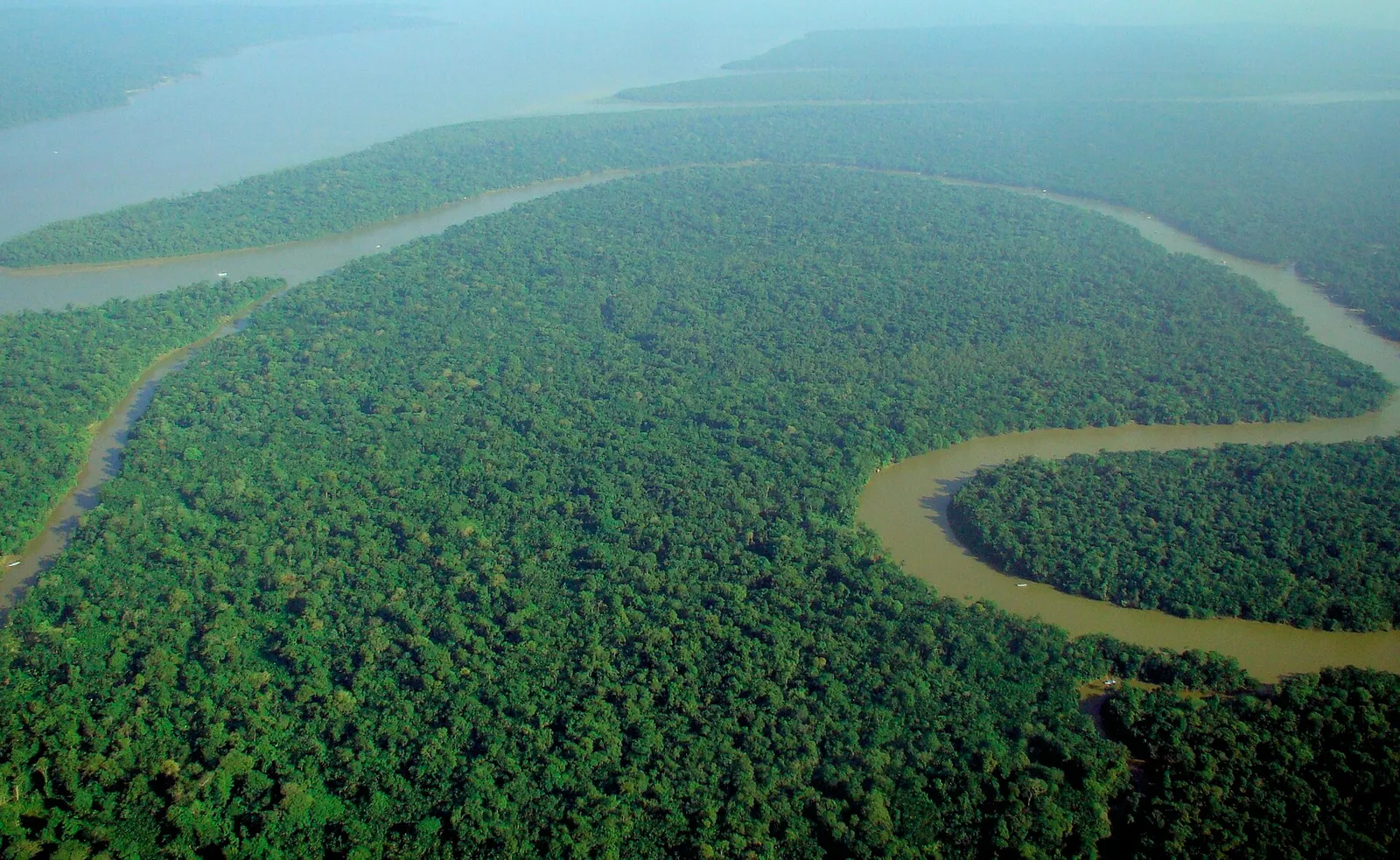 An aerial view of the Amazon rainforest
