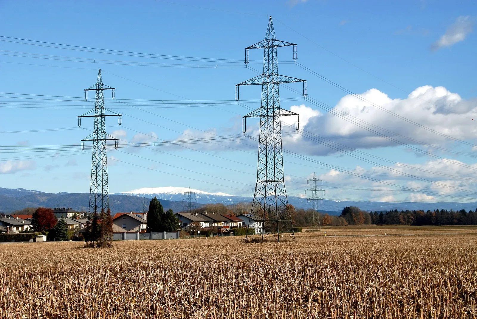 High-voltage overhead power transmission lines (file photograph)
