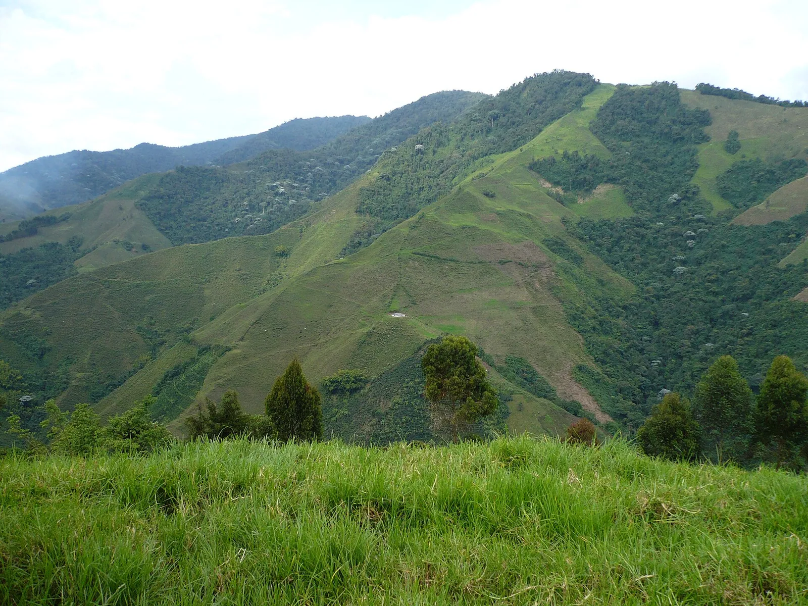 Green mountain slopes in the Colombian Andes