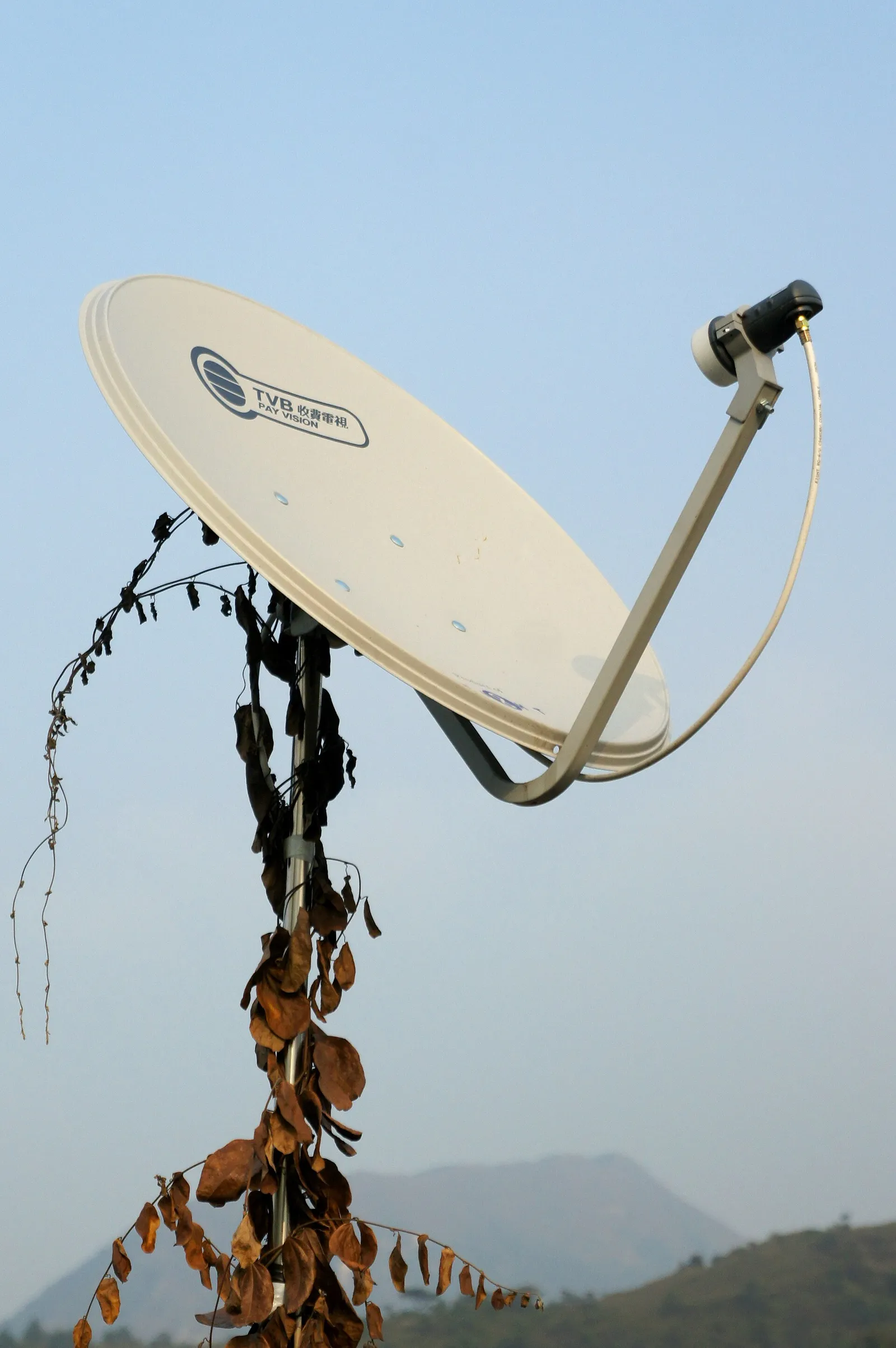 A pay-television satellite dish (file photo)