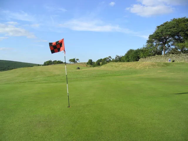 A golf course green and fairway