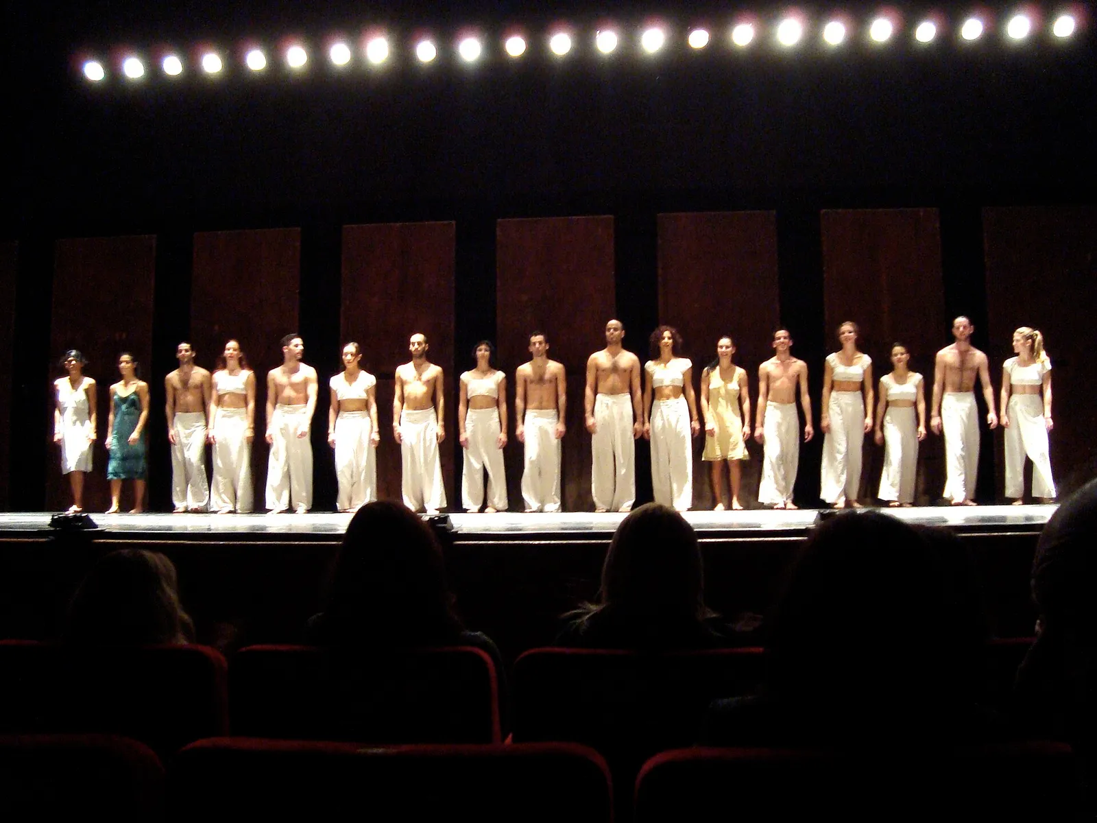 A contemporary dance performance (file image)