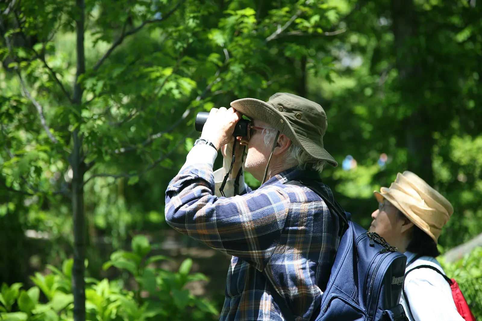 A birdwatcher observing through binoculars in the field
