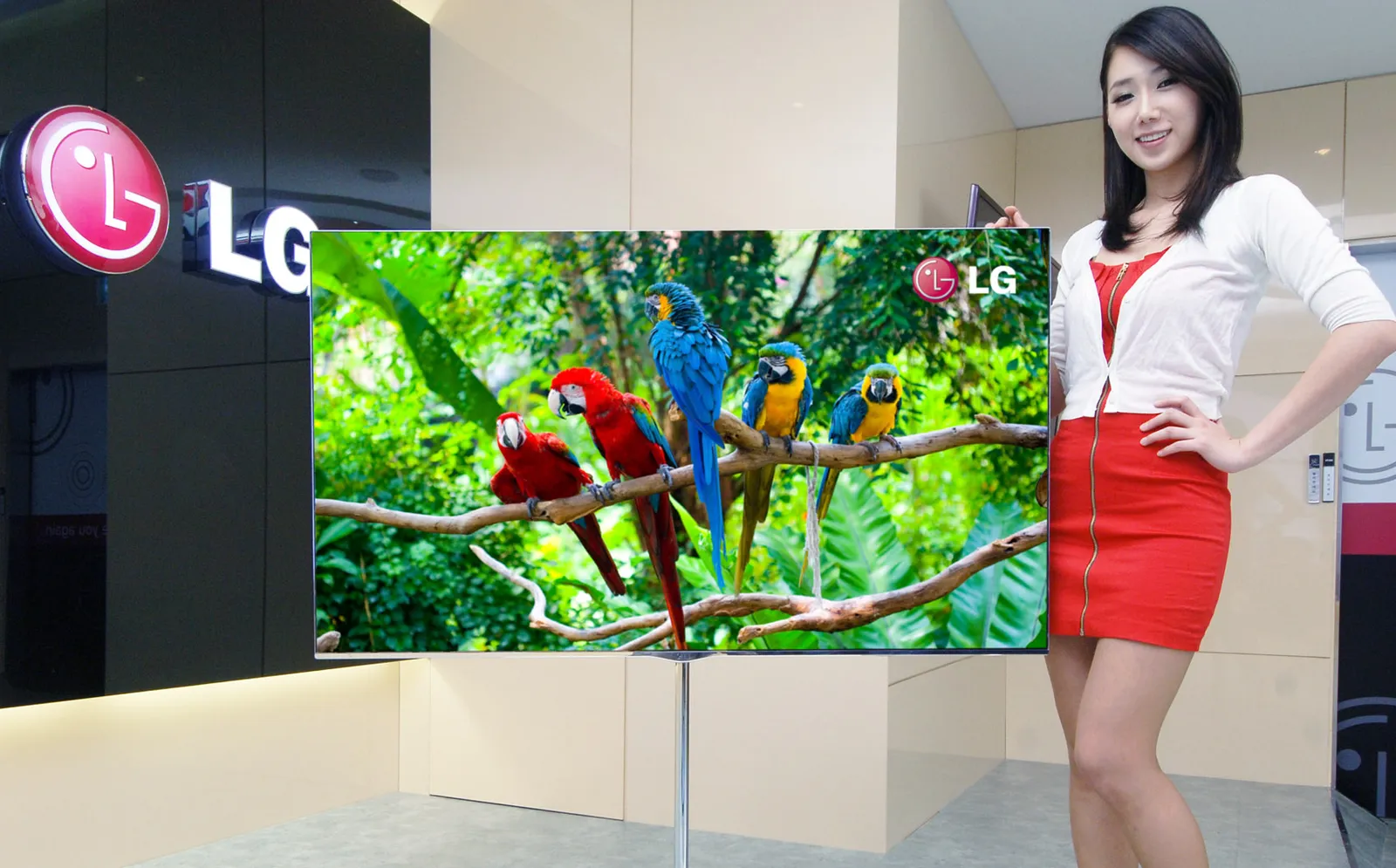 An LG OLED television on display