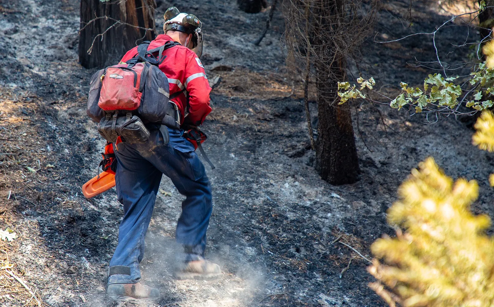 Firefighters work to contain a wildfire (file image)