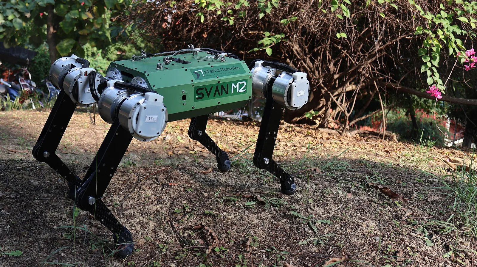 A small quadruped robot (file image; not the Beni)