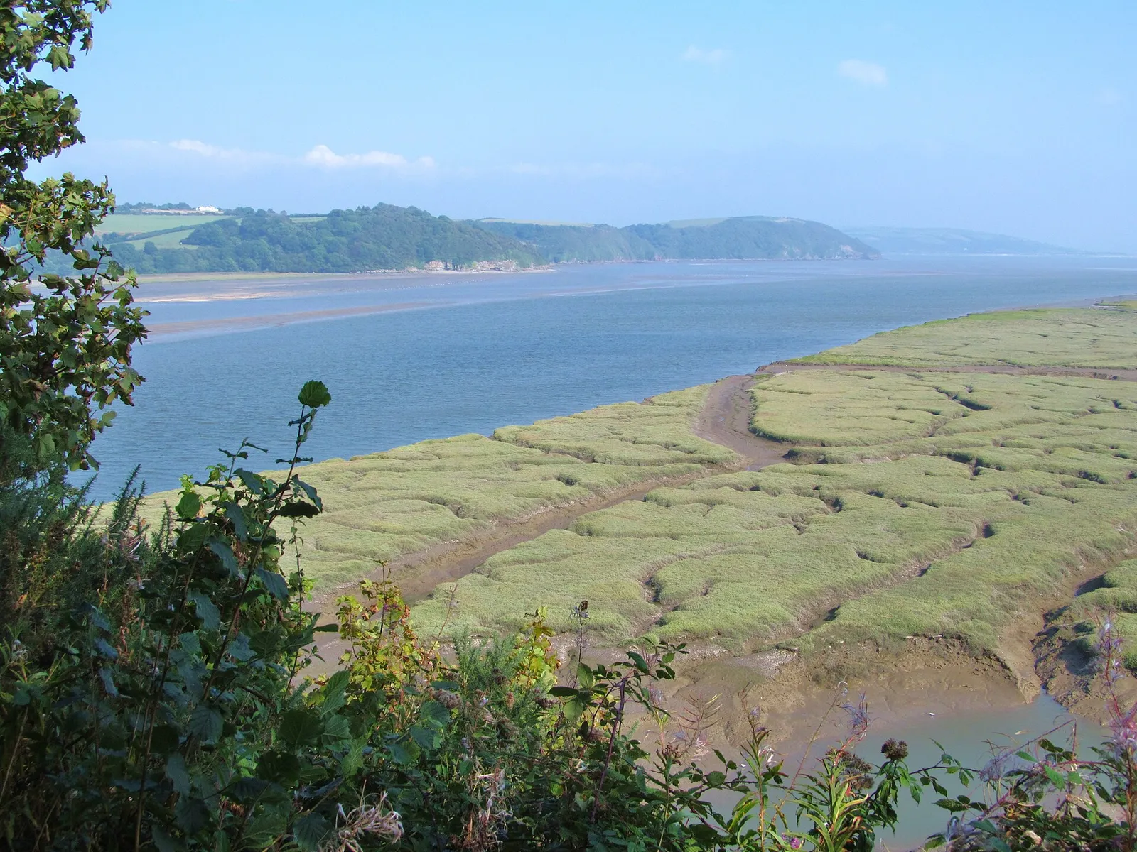 Saltmarsh at the edge of an estuary (file image)