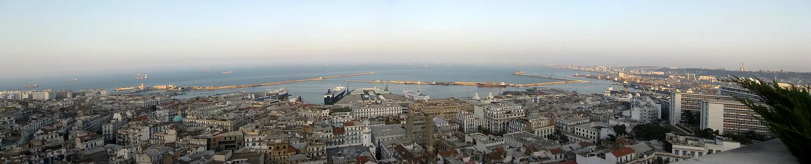 The bay of Algiers