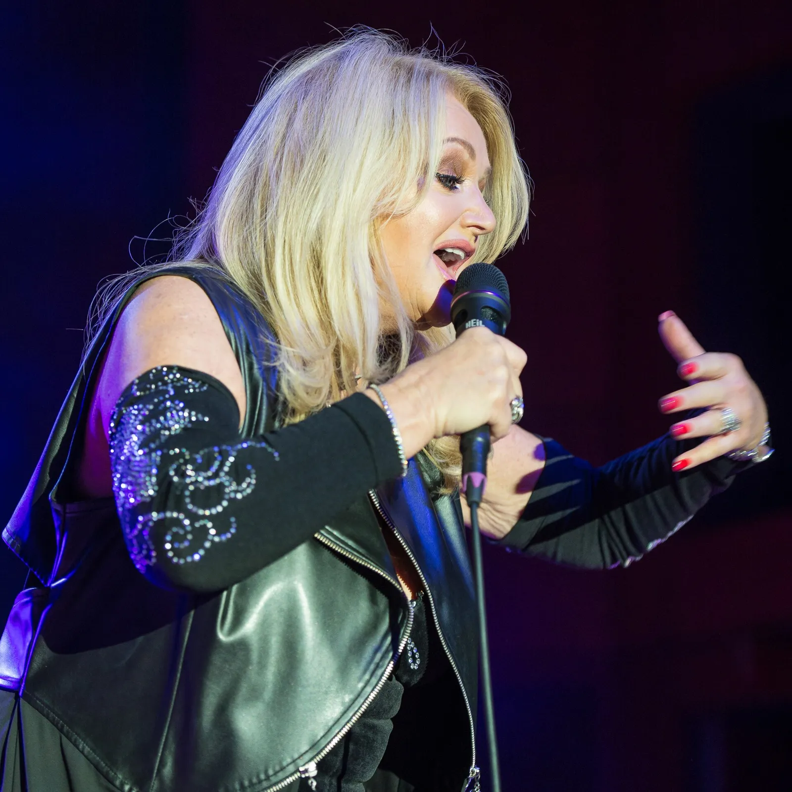 Bonnie Tyler performing in 2016 (file image)