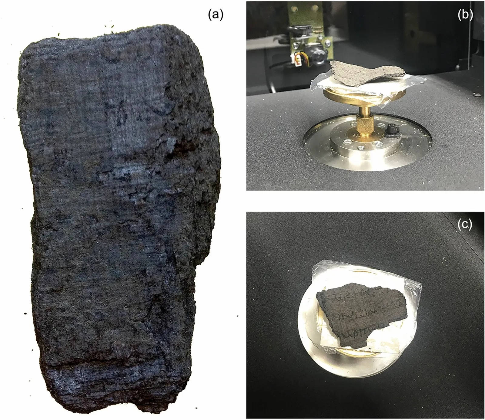 Carbonized papyrus scrolls from Herculaneum