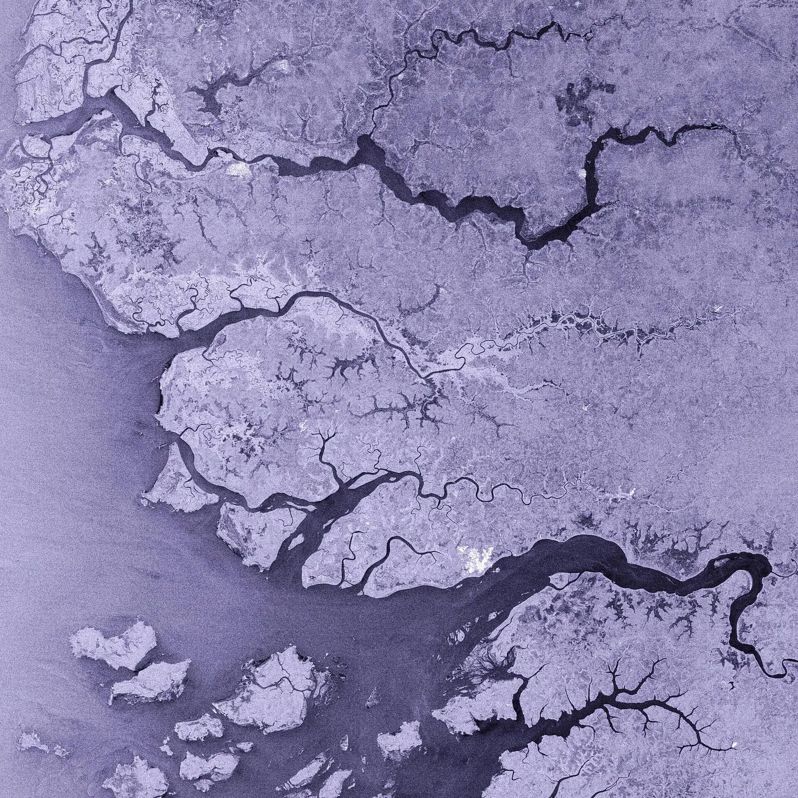 A satellite view of the coast of Guinea-Bissau