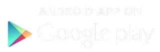 The Google Play store logo