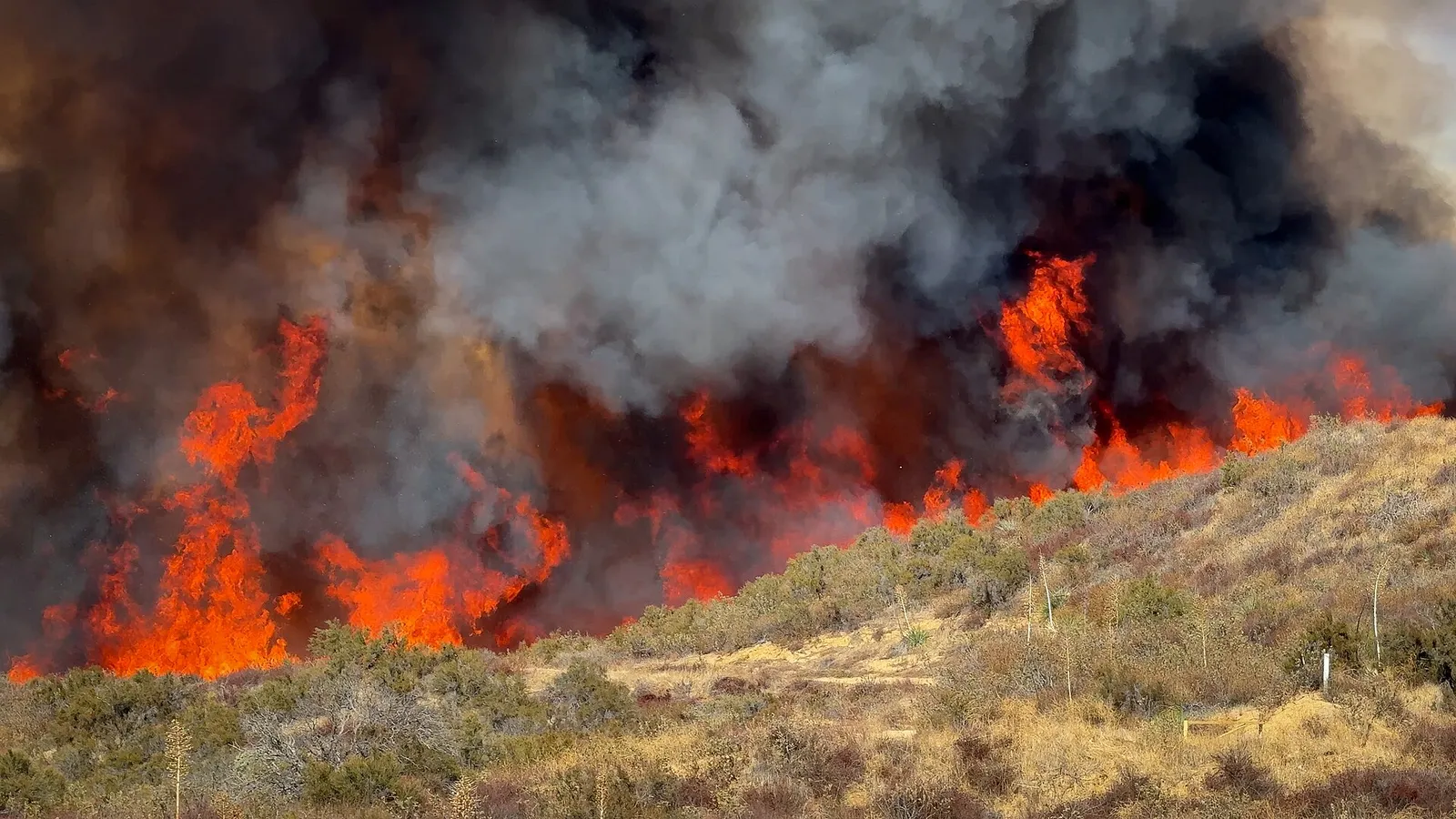 A wildfire burning through hillside brush