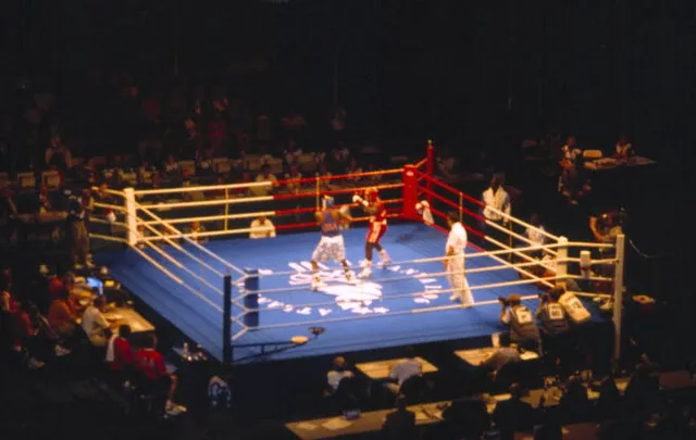 Boxers competing in the ring