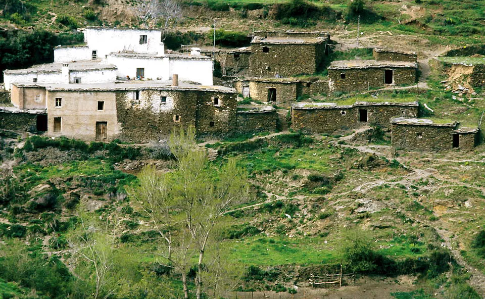 Whitewashed houses in the Alpujarras region of southern Spain