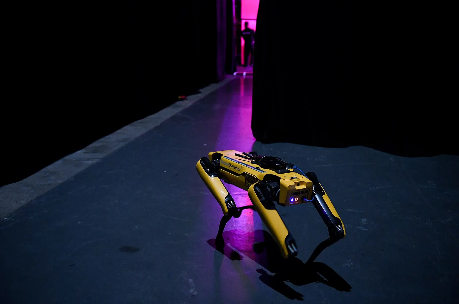 A Boston Dynamics Spot quadruped robot
