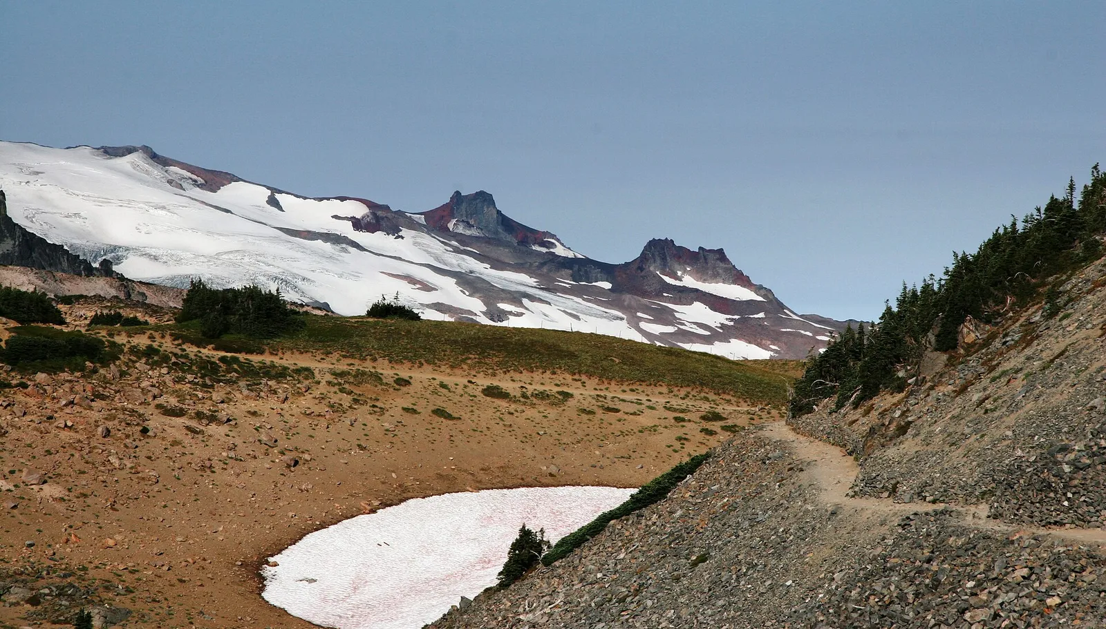 Reddish 'watermelon' snow tinted by snow algae (illustrative)