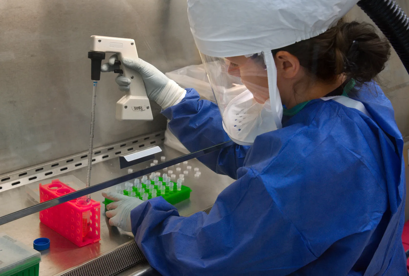 A scientist working in a laboratory (illustrative)