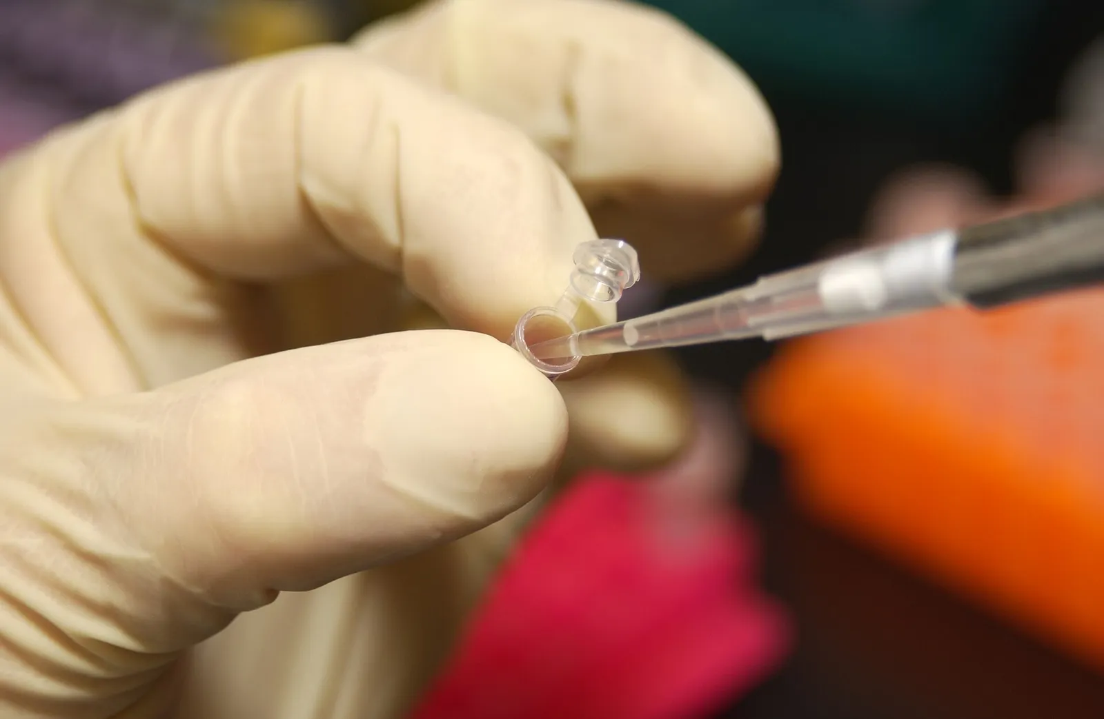 A researcher works with samples in a laboratory (file photograph)