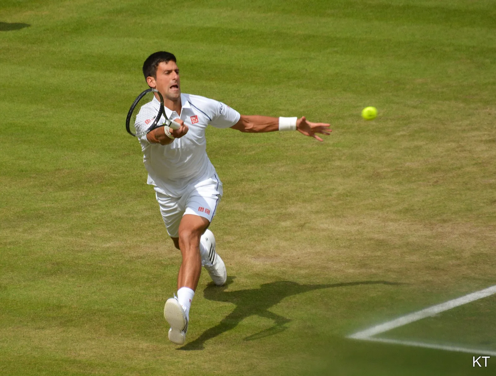 Novak Djokovic at Wimbledon (file image)